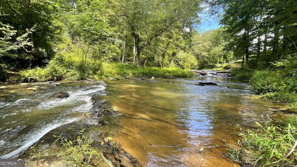 Photo of 156 Thundering Waters Drive, Cornelia, GA 30531 (MLS # 10818458)