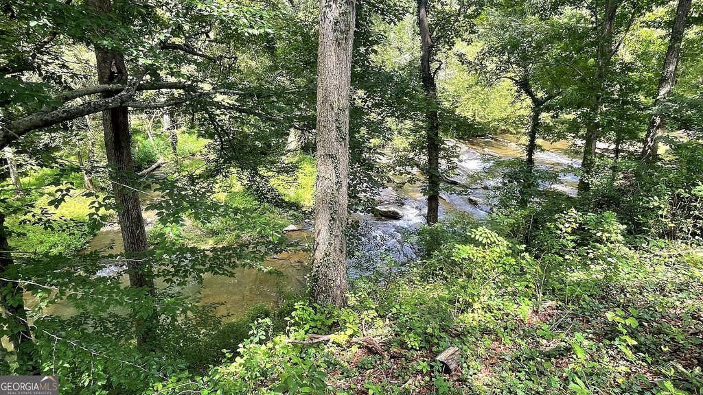 Photo of 156 Thundering Waters Drive, Cornelia, GA 30531 (MLS # 10818458)