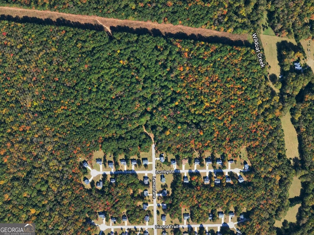 Photo of 162 Hwy 162, Newton, GA 30016 (MLS # 10854250)