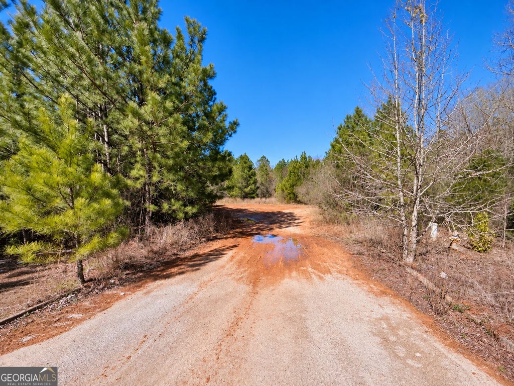 Photo of 162 Hwy 162, Newton, GA 30016 (MLS # 10854250)