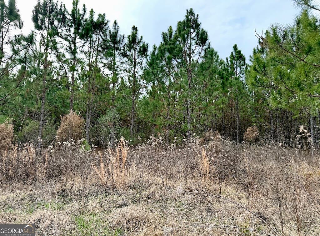 Photo of TBD John M Brewton Rd, Glennville, GA 30427 (MLS # 10813097)