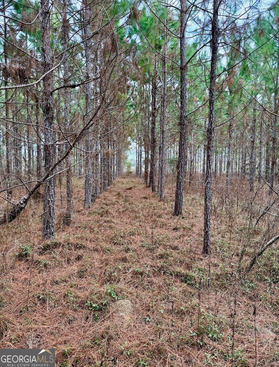 Photo of TBD John M Brewton Rd, Glennville, GA 30427 (MLS # 10813097)