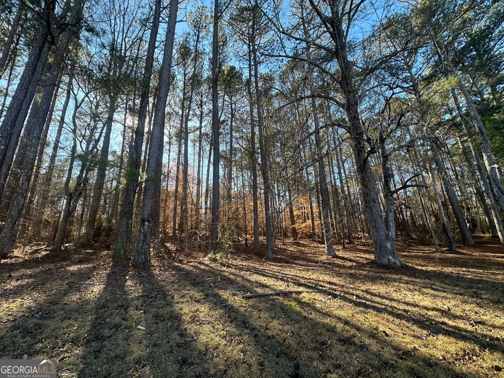 Photo of 0 Hard Rock Road, Oxford, GA 30054 (MLS # 10838840)