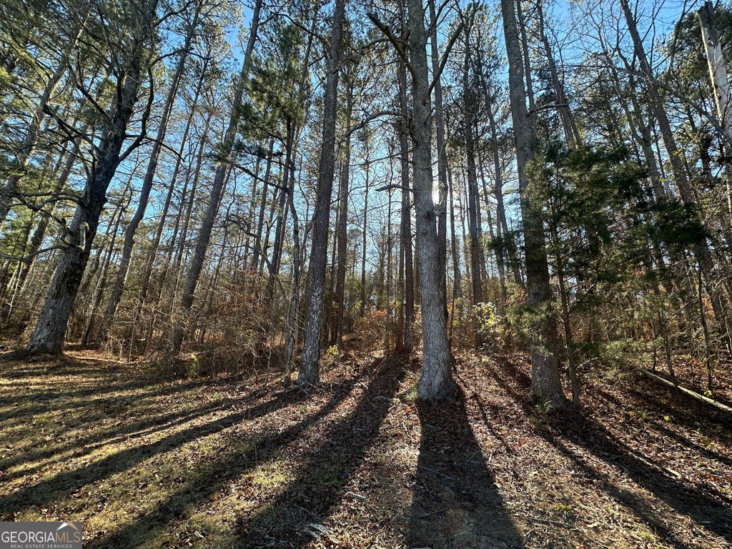 Photo of 0 Hard Rock Road, Oxford, GA 30054 (MLS # 10838840)