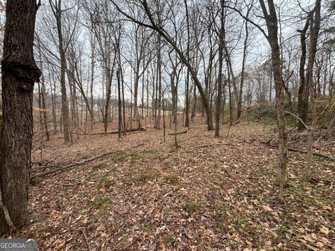 Photo of 0 Oconee Rd Lot 1, Buckhead, GA 30625 (MLS # 10846715)