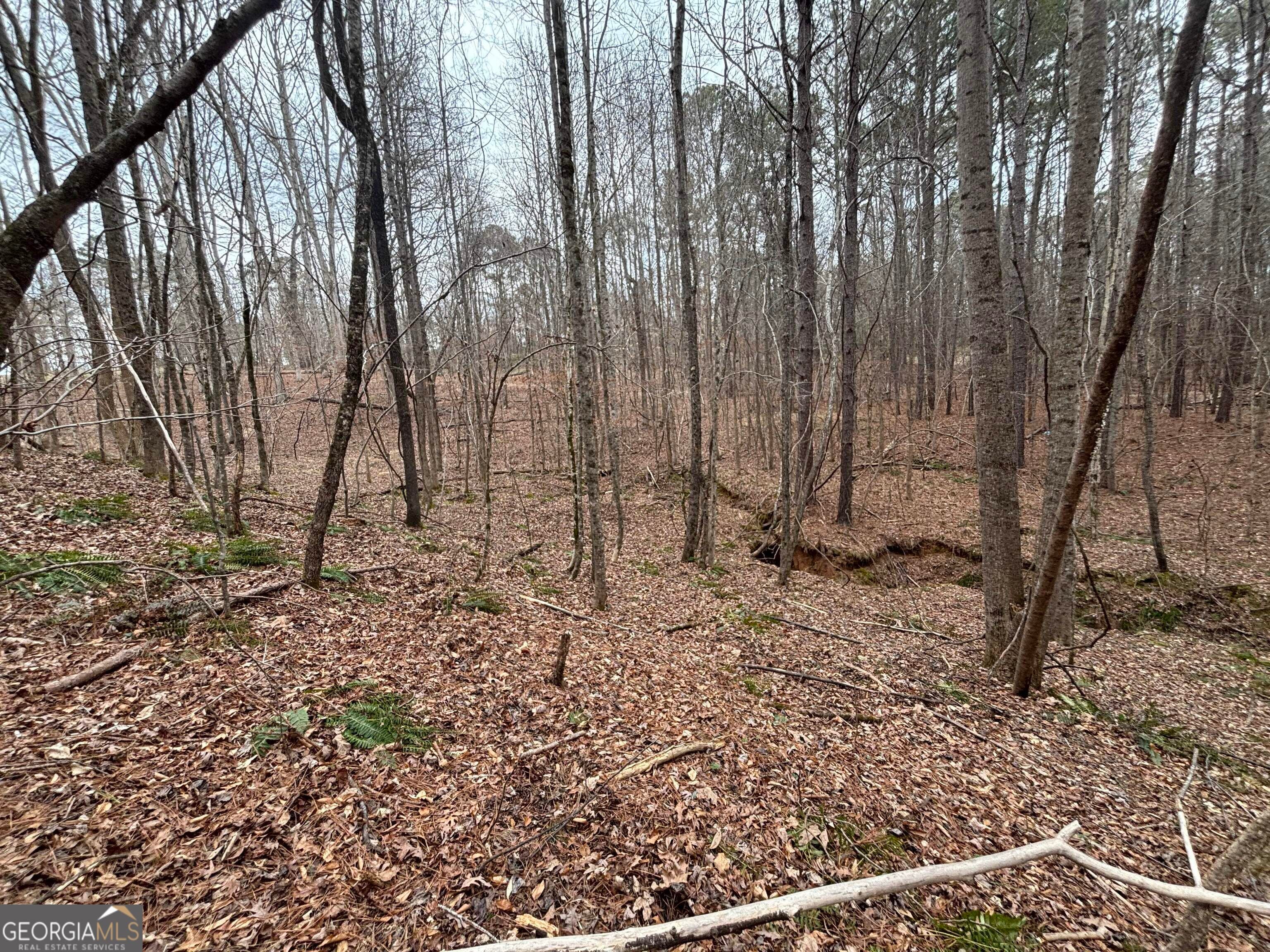 0 Oconee RD LOT 1