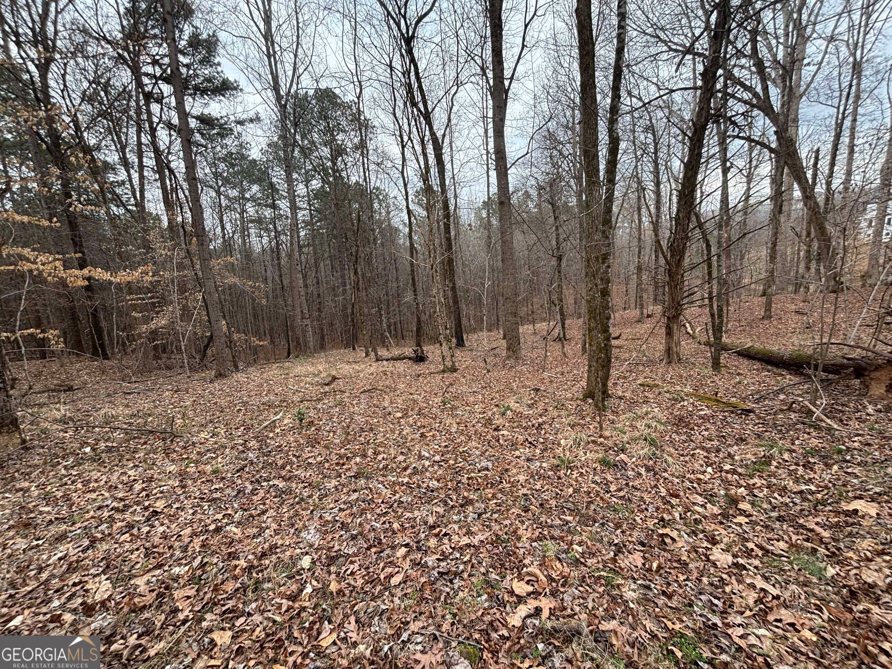 0 Oconee RD LOT 1