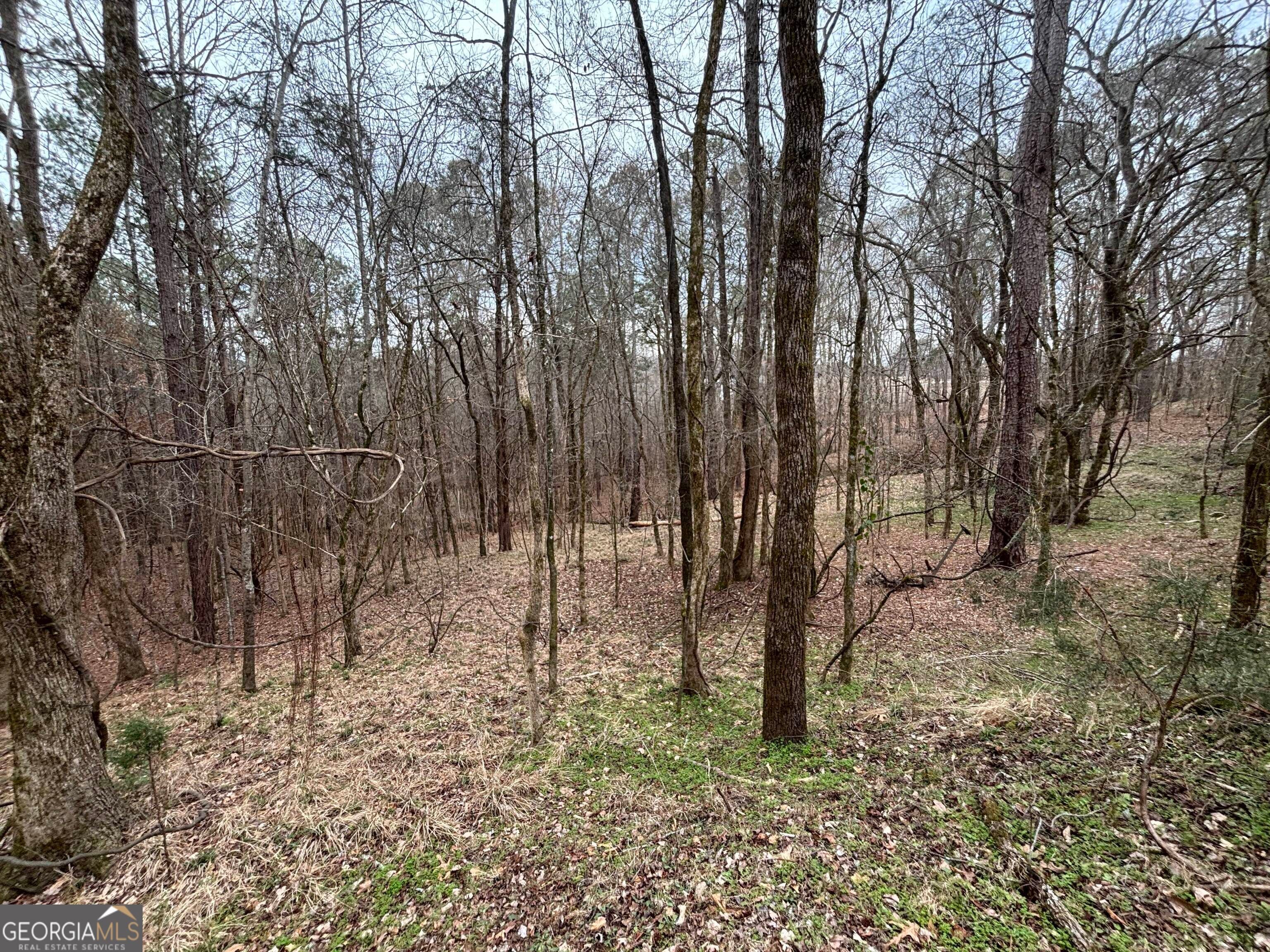 0 Oconee RD LOT 1