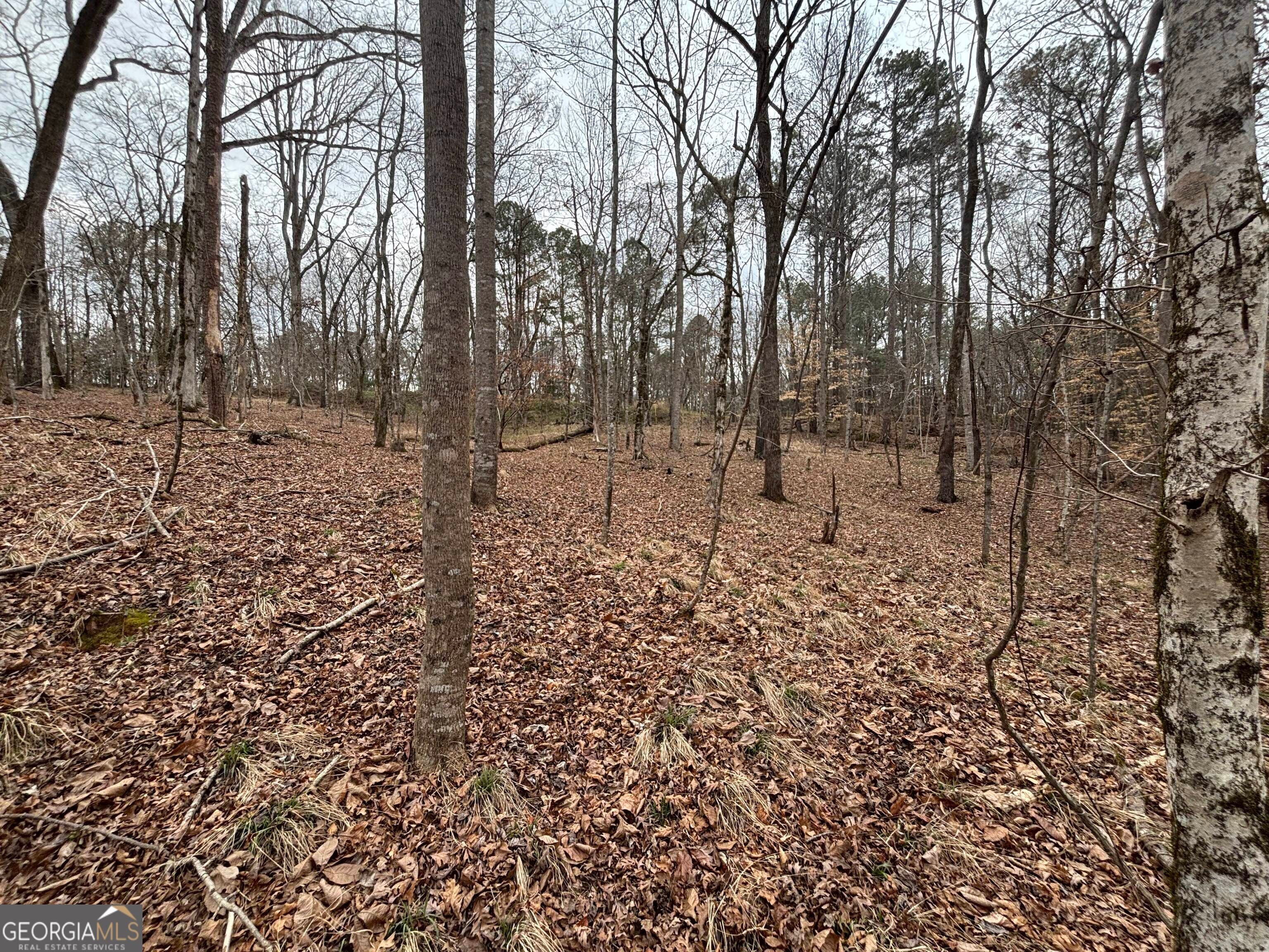 0 Oconee RD LOT 1