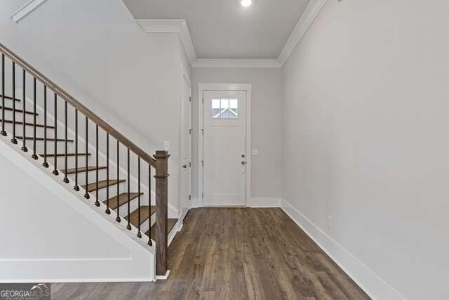29 Ruby Robin RD