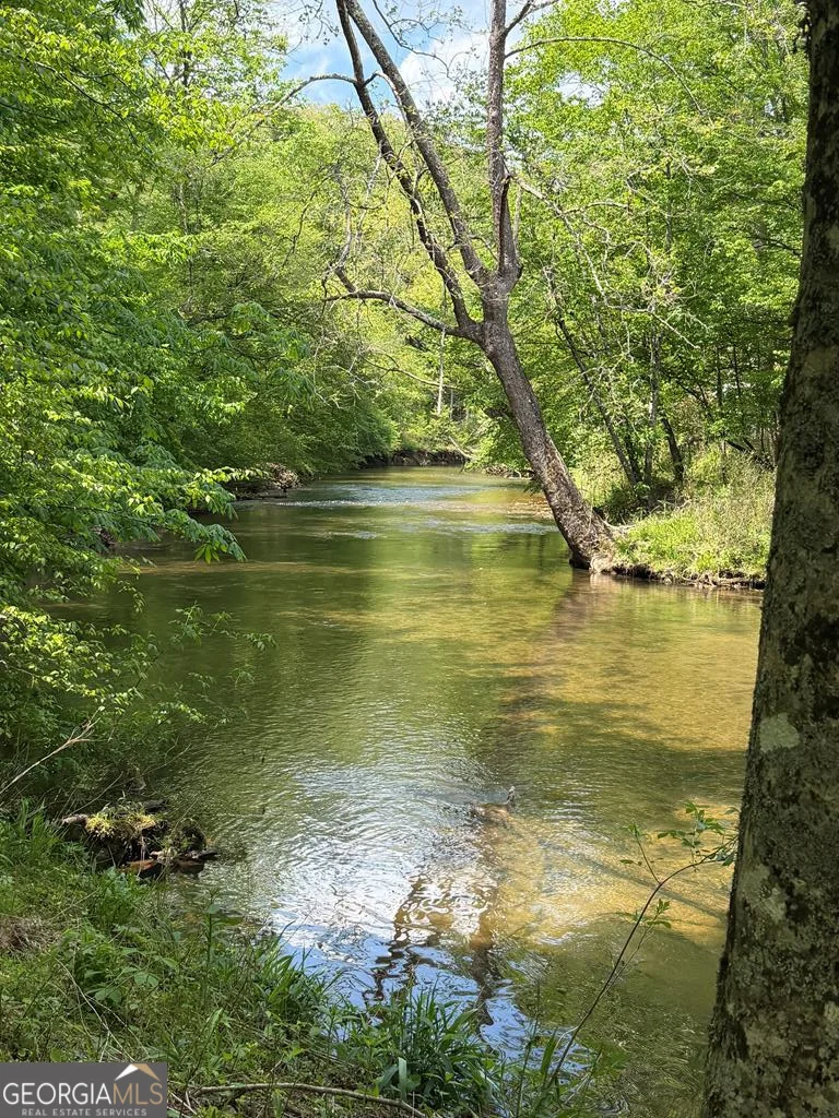 9.8 AC Brown Mountain, Suches, GA, 30572
