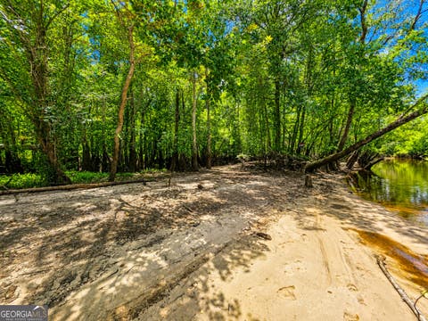 Photo of 0 Lewis Landing, Nahunta, GA 31553 (MLS # 10809372)