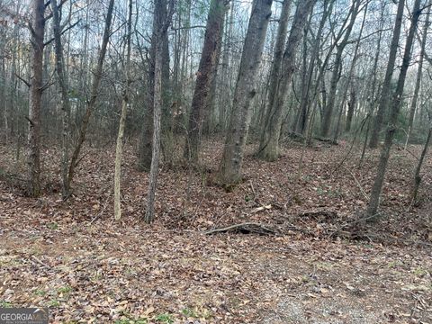 120 Tony DR 18 Hartwell GA 30643