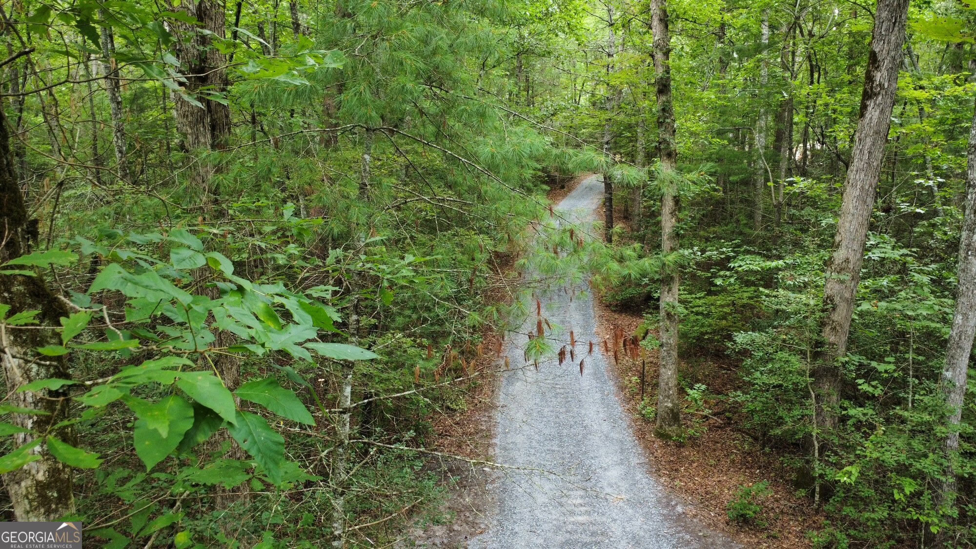 Introducing a Rare Opportunity in the North Georgia Mountains!! Discover the perfect canvas for your dream home or idyllic getaway with this hard-to-find 10.66 acre level land. Nestled among stunning native trees and equipped with underground electric, this private oasis is conveniently located new the charming towns or Blue Ridge and Murphy, North Carolina. This beautiful acreage boasts a gentle slop, ideal for construction your ideal residence. Enjoy the tranquil surroundings and take advantage of a wealth of outdoor activities just moments away, including the breathtaking Lake Blue Ridge, the renowned Toccoa River for fishing and rafting, hiking trails, and nearby casino experiences. Moreover, you'll find shopping, fantastic restaurants, and vibrant entertainment options within easy reach. Don't miss this unique chance to own a slice of paradise in the North Georgia Mountains.