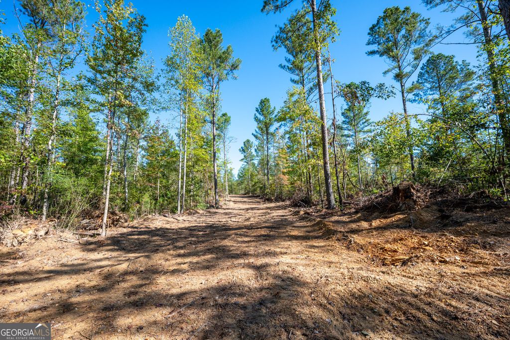 Photo of 3785 HWY 140 NE, Rydal, GA 30171 (MLS # 10632077)