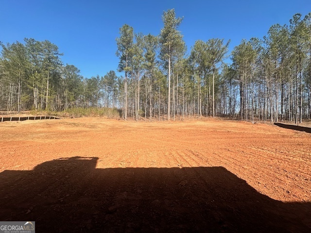 Fayetteville, Georgia 30215, United States, 5 Bedrooms Bedrooms, ,4 BathroomsBathrooms,Residential,Active,78187