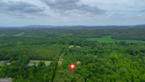 Single Family Residence in Cartersville GA 100 Dover Road 50.jpg