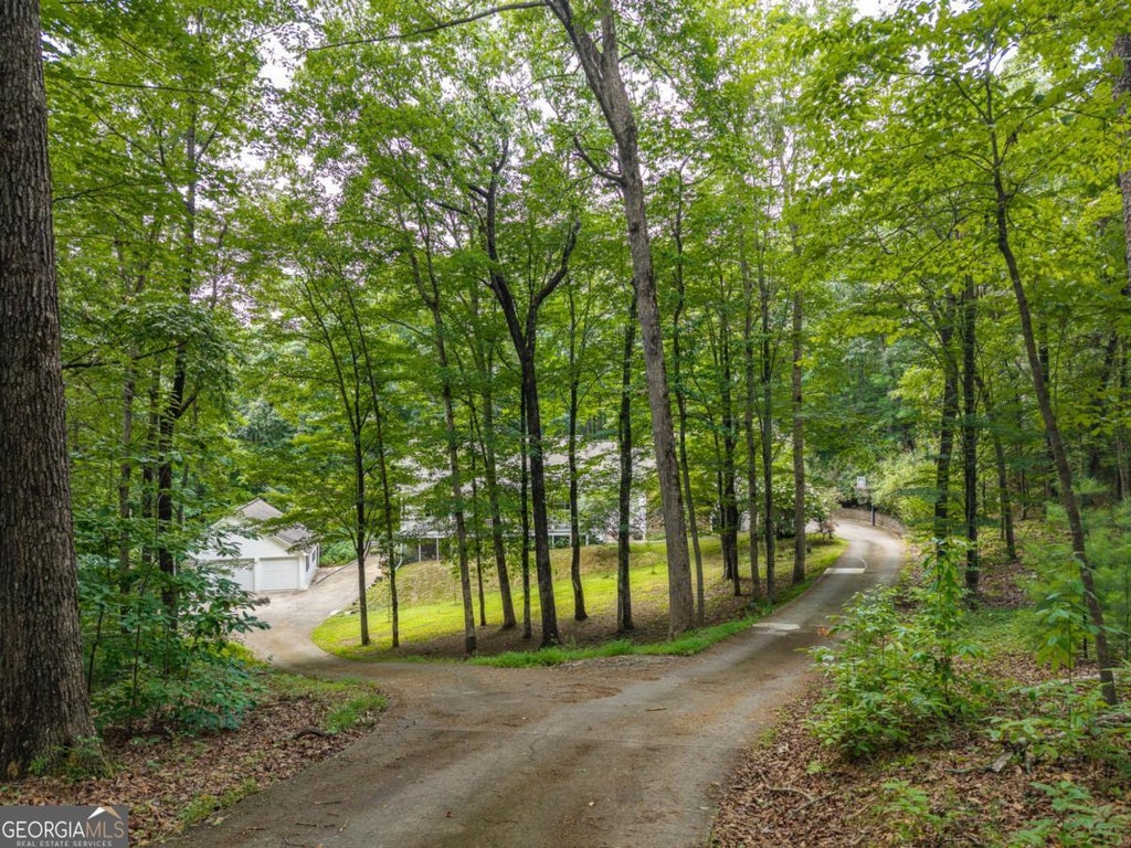 Photo of 387 Leonard Evans Road, Ellijay, GA 30540 (MLS # 10818620)