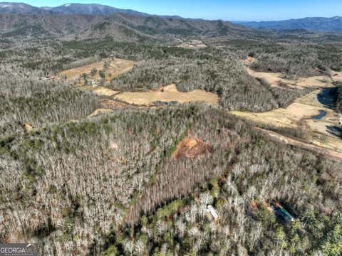 Photo of 131132 Pack Creek Road, Blue Ridge, GA 30513 (MLS # 10809003)