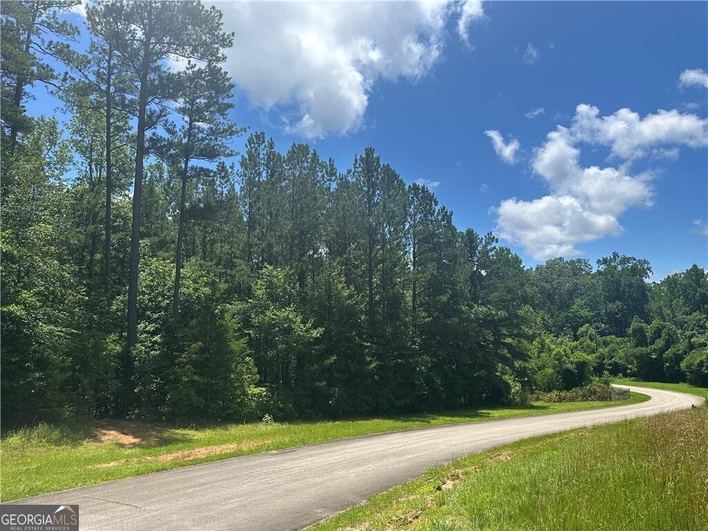 Elsberry Ridge Neighborhood. Undeveloped lot, secluded and wooded land Nestled atop the scenic and historic Elsberry Mountain, Lot 12 offers a rare opportunity to build your dream home! This lot has underground utlities, street lights, recorded final plat, topo maps, and HOA covenants to protect your investment.