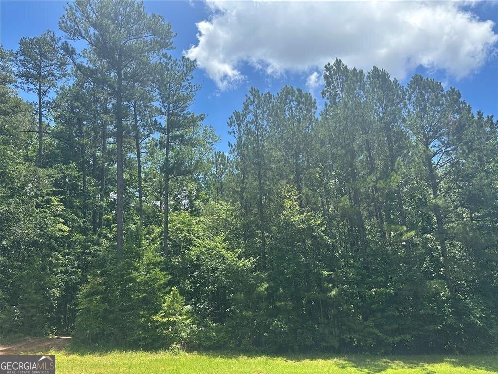 0 Elsberry Mountain RD