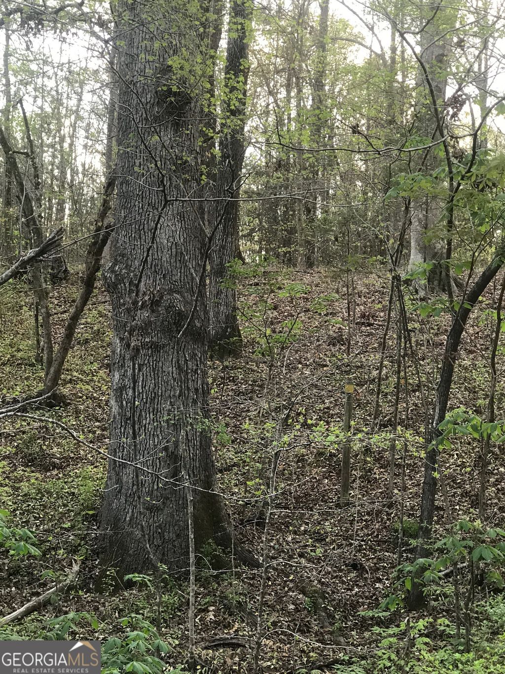 Photo of 0 Jordan Road, Monticello, GA 31064 (MLS # 10674093)