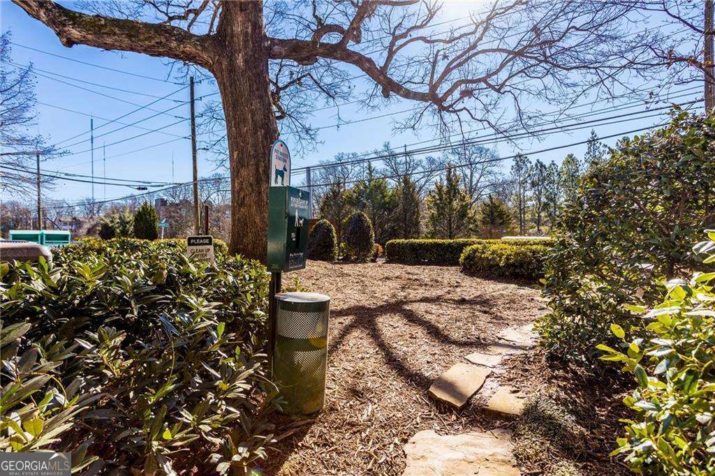 The Townhomes at Candler Park - Residential