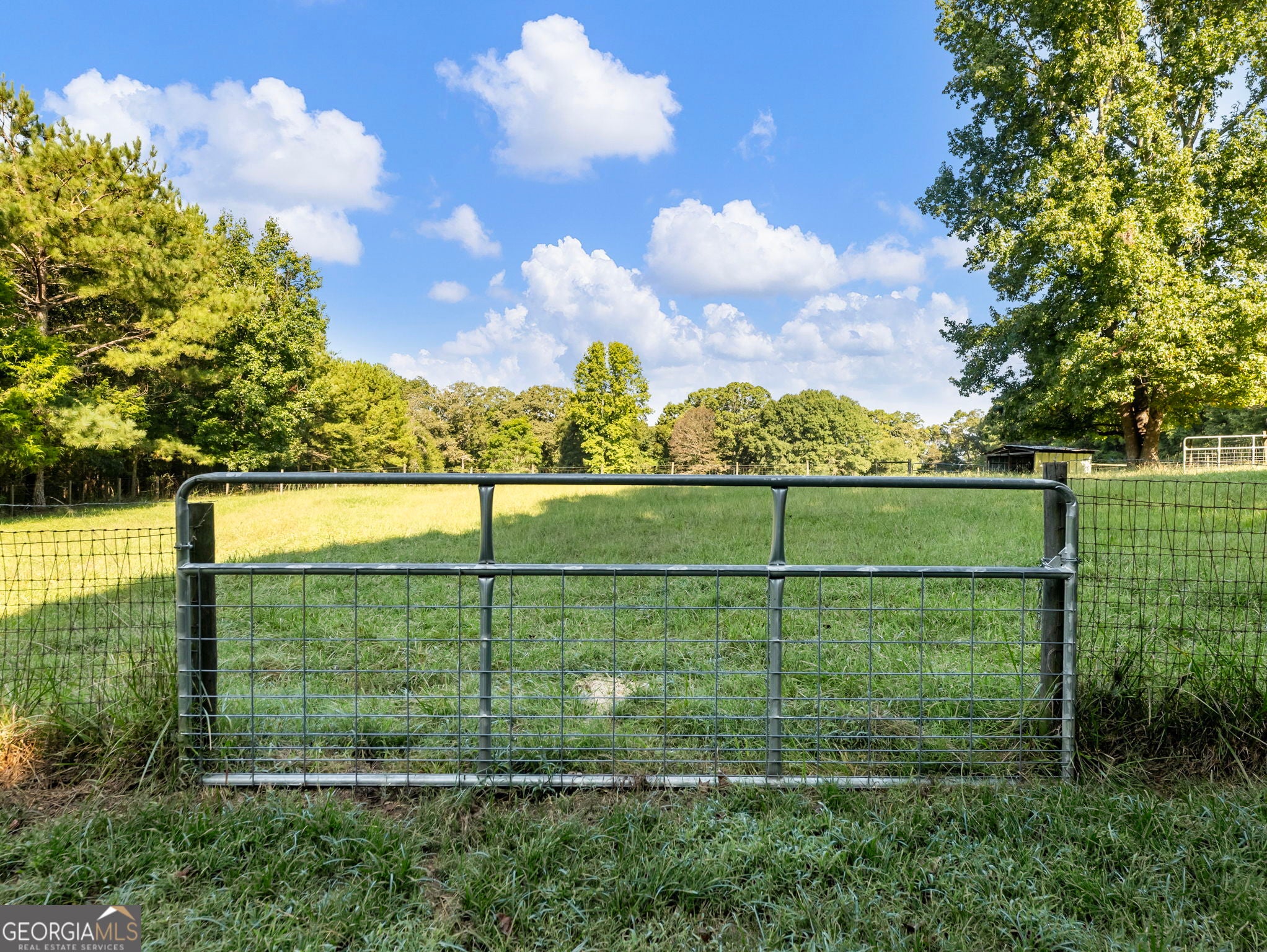 706 Deadwyler RD