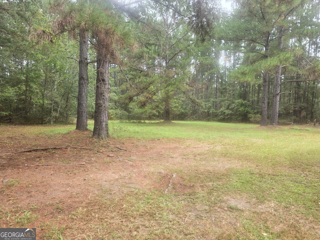 Photo of 1737 Brook Run Drive, Register, GA 30452 (MLS # 10872025)