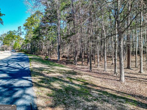 Photo of 1040 Centennial Post Road, Greensboro, GA 30642 (MLS # 10490632)