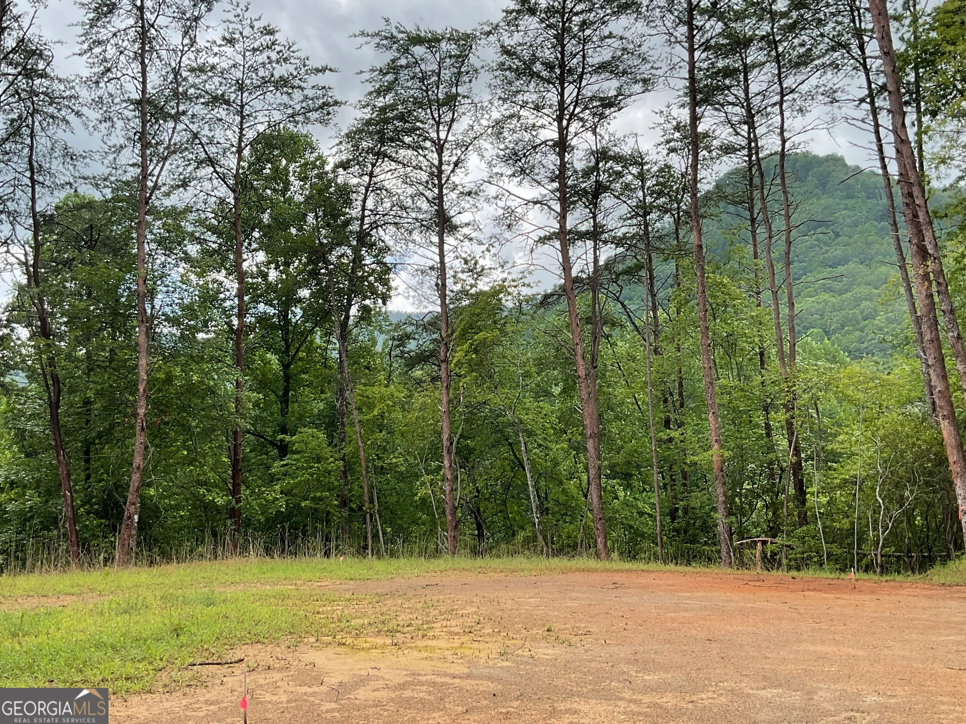 675 Big Creek Road