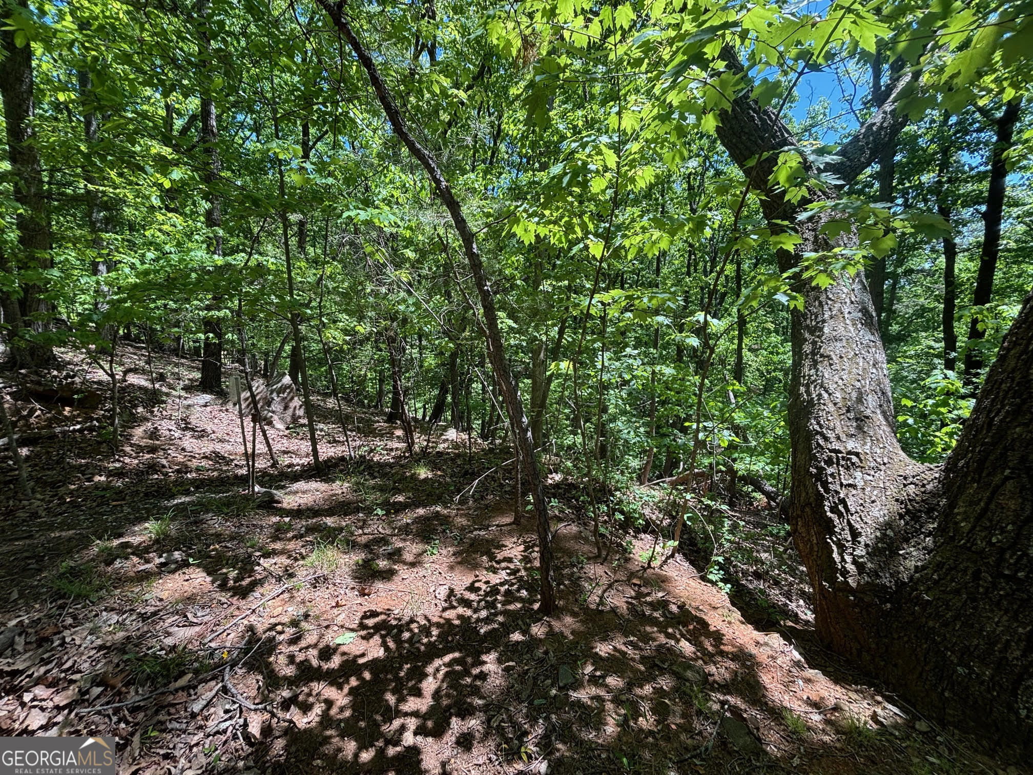 0 Lookout Ridge RD 11