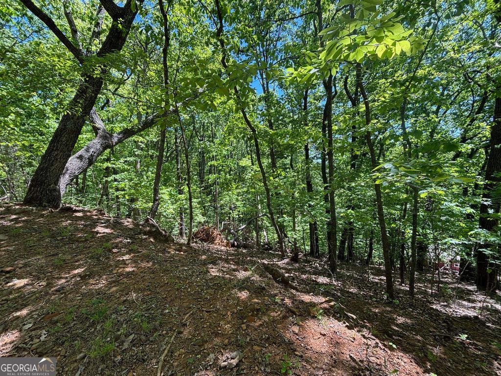 Photo of 0 Lookout Ridge Road #11, Cleveland, GA 30528 (MLS # 10737799)