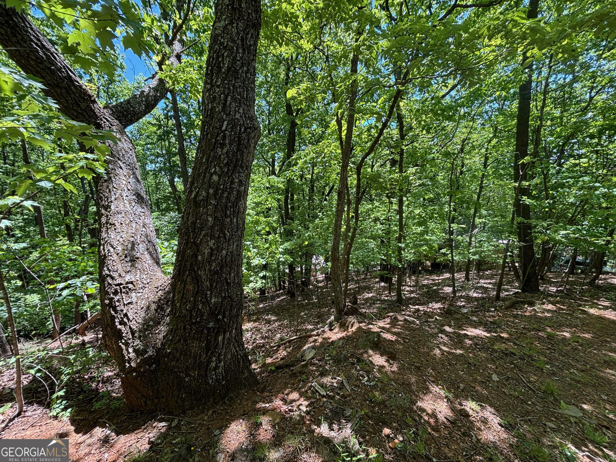 0 Lookout Ridge RD 11