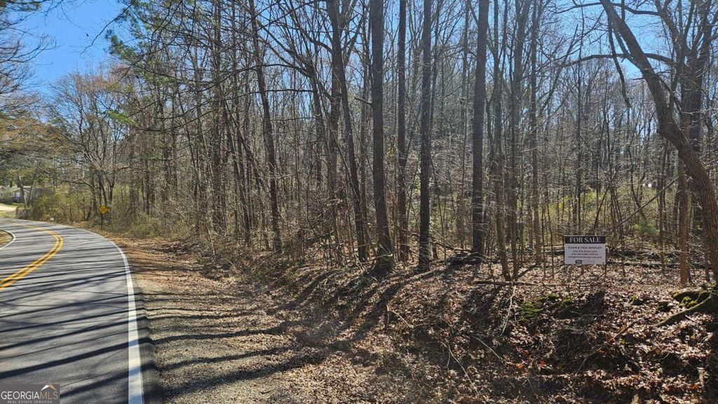 Photo of 0 Cook Drive, Ellenwood, GA 30294 (MLS # 10686407)