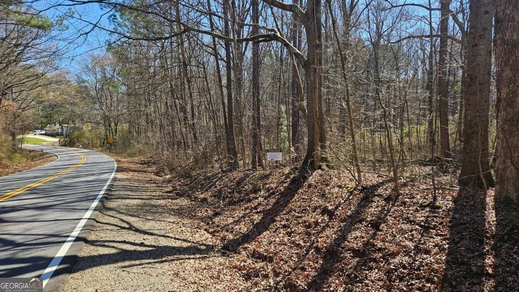 Photo of 0 Cook Drive, Ellenwood, GA 30294 (MLS # 10686407)