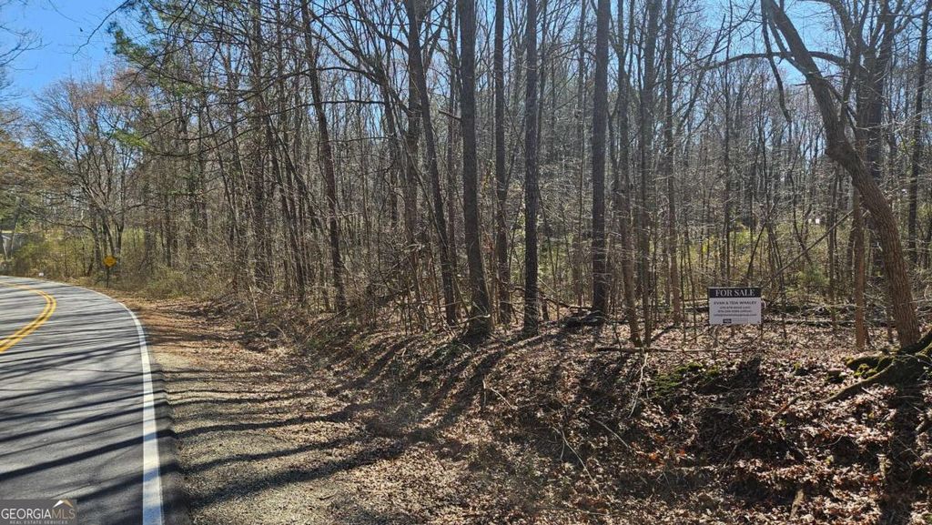 Photo of 0 Cook Drive, Ellenwood, GA 30294 (MLS # 10686407)