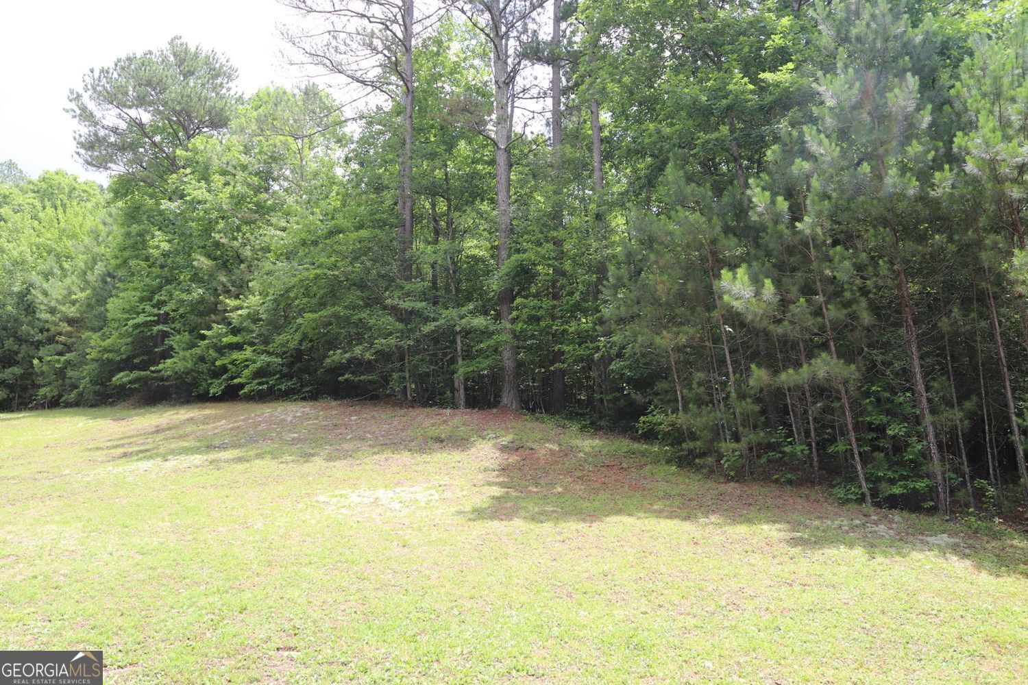 71 Mountain Creek Hollow Drive