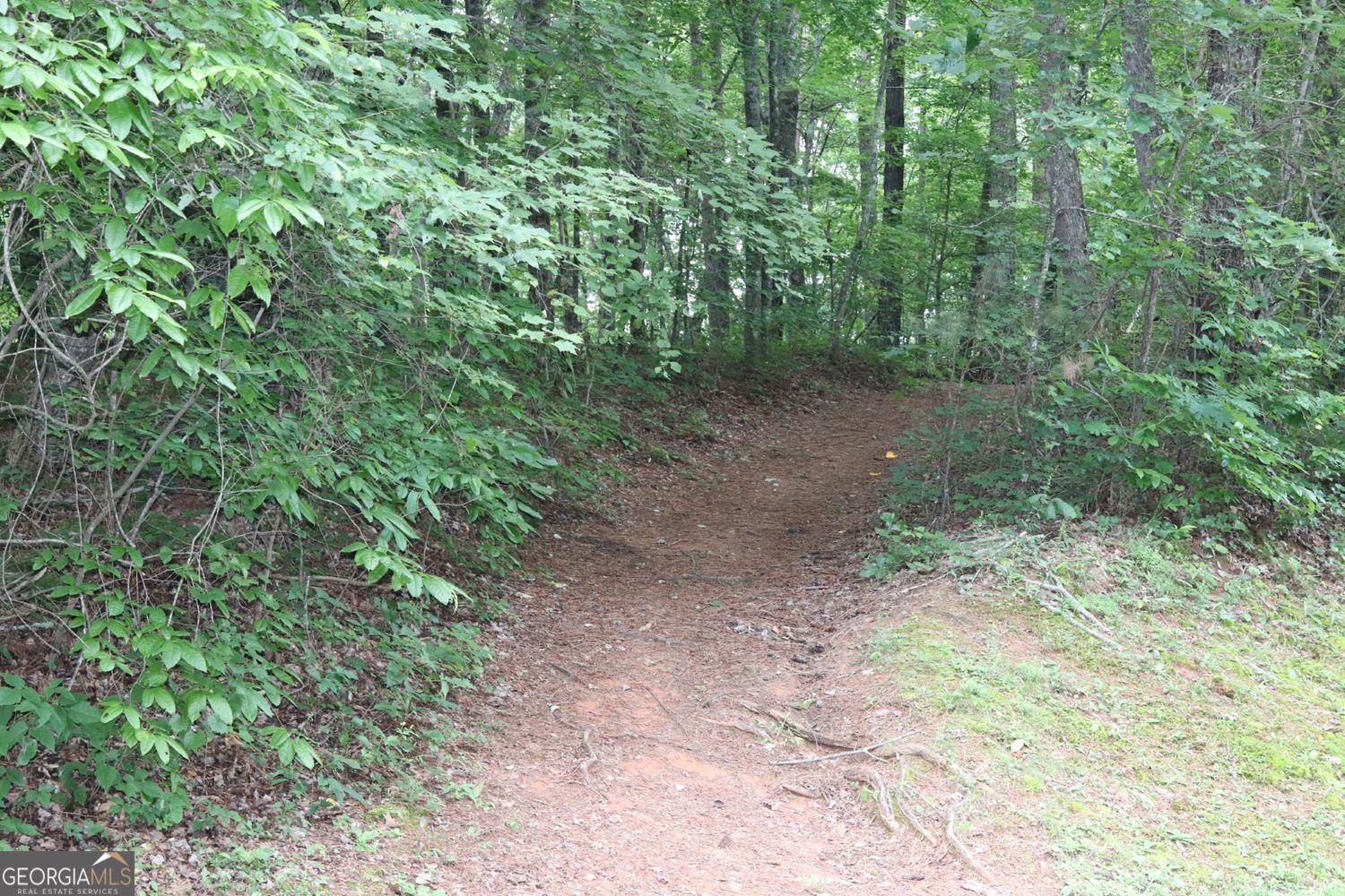 71 Mountain Creek Hollow Drive