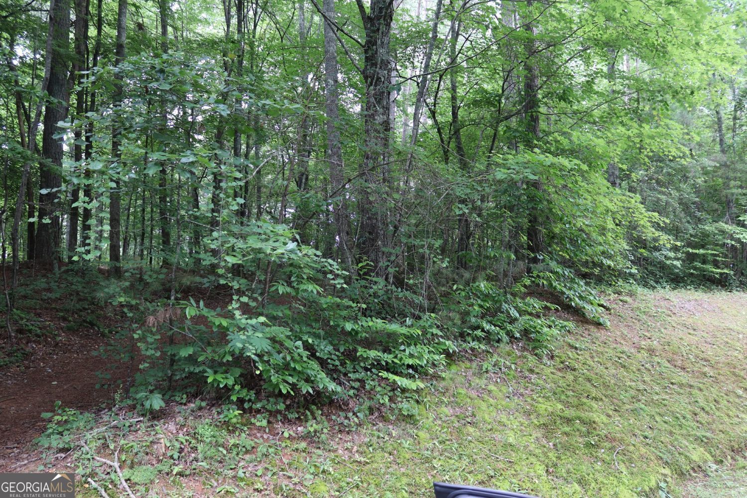 71 Mountain Creek Hollow Drive