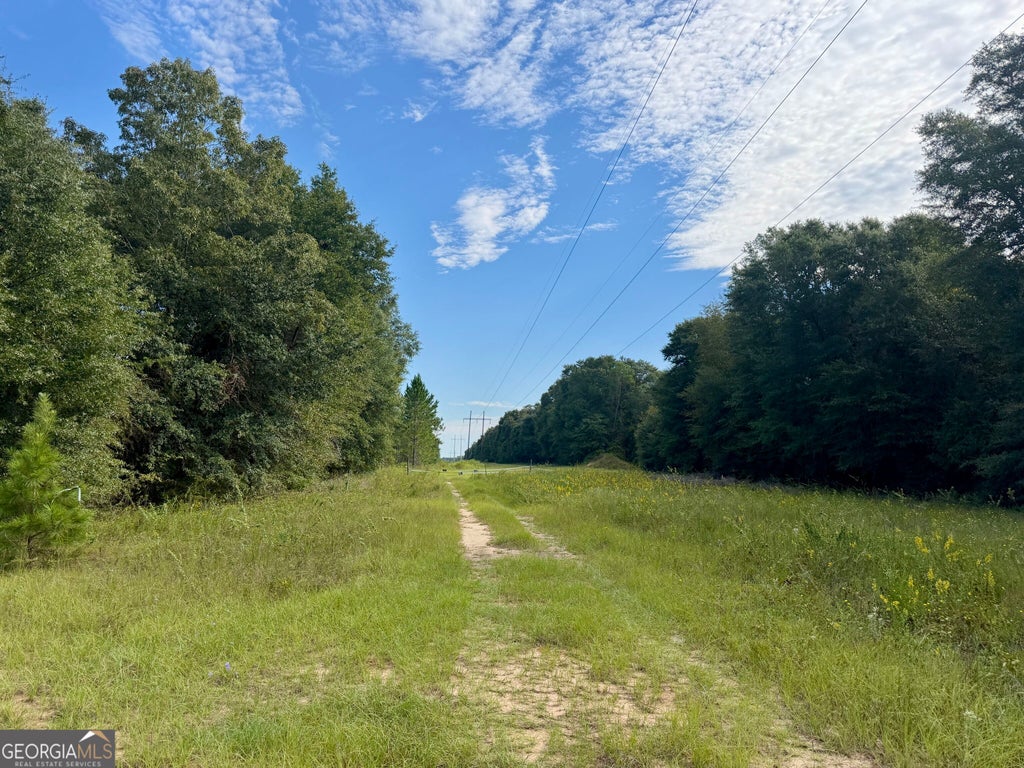 Photo of 0 Carol Drive, Hawkinsville, GA 31036 (MLS # 10850656)