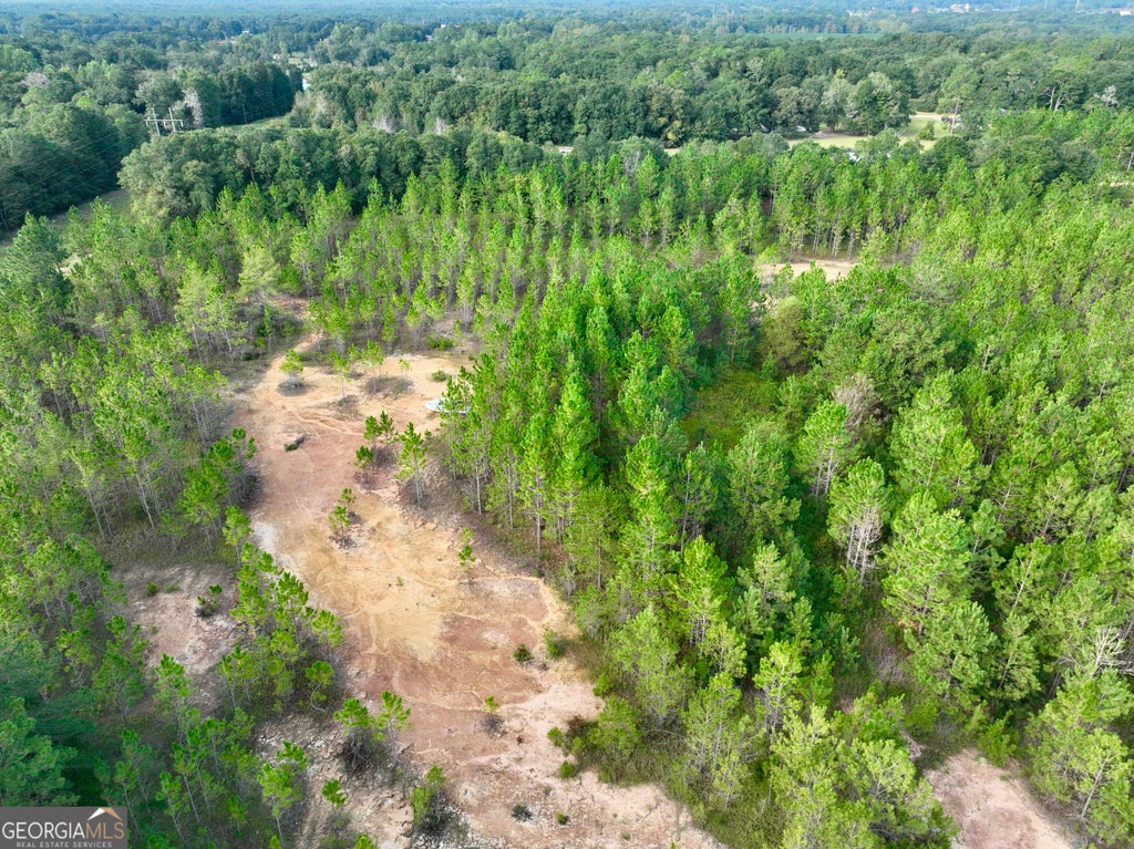 Photo of 0 Carol Drive, Hawkinsville, GA 31036 (MLS # 10850656)