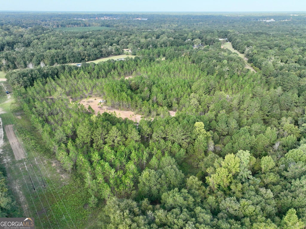 Photo of 0 Carol Drive, Hawkinsville, GA 31036 (MLS # 10850656)