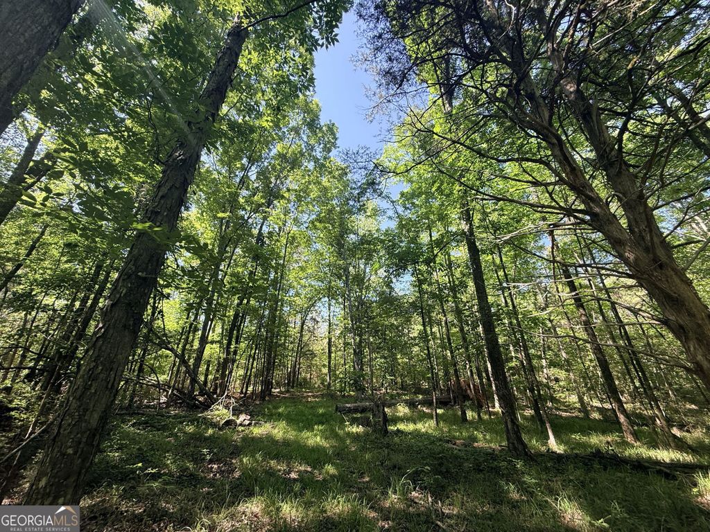 Photo of 580 Saggus Road, Washington, GA 30673 (MLS # 10757093)