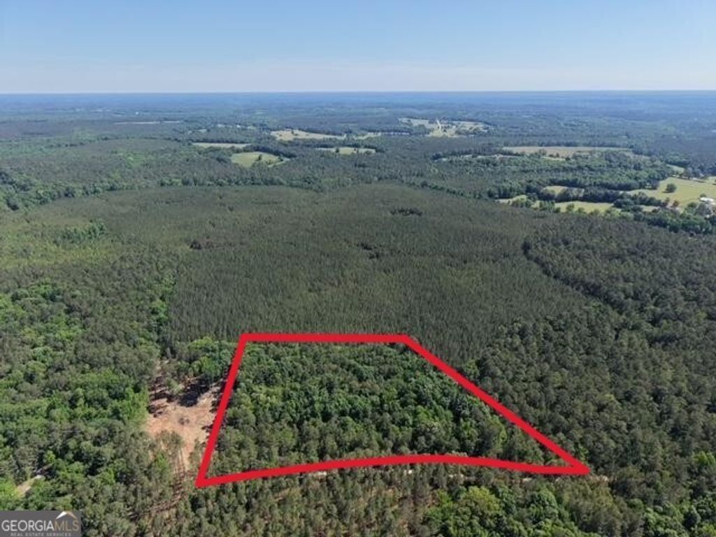 Photo of 580 Saggus Road, Washington, GA 30673 (MLS # 10757093)