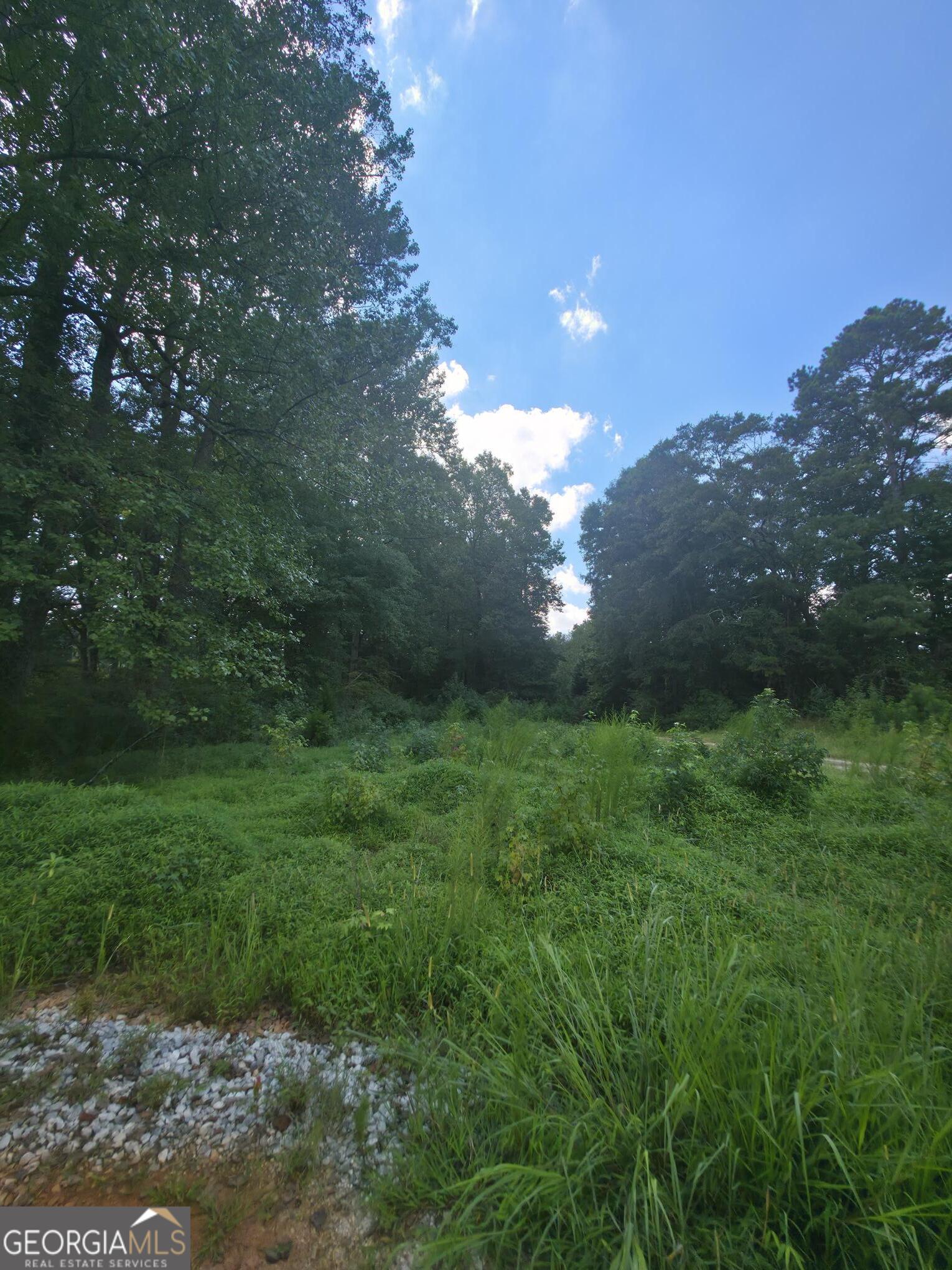 4.182 ACRES IN BARROW CO! This estate lot is nestled in the new construction subdivision Charlottes Place. Experience the appeal of a neighborhood with the spaces of the country. The long driveway and creek that runs through is sure to bring the peaceful sounds of nature to your home! City sewer and water available! No improvements sure as clearing or grading have been done to the lot at this time, but it does have a construction driveway. Only 2 estate lots available for purchase to custom build, So don't miss out! Will have shared driveway, Seller to install 12' wide and about 100-150' long concrete driveway down that hill from the road prior to closing.