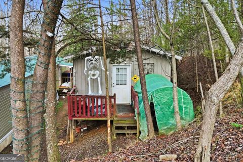 1344 Brookhaven LN Blue Ridge GA 30513