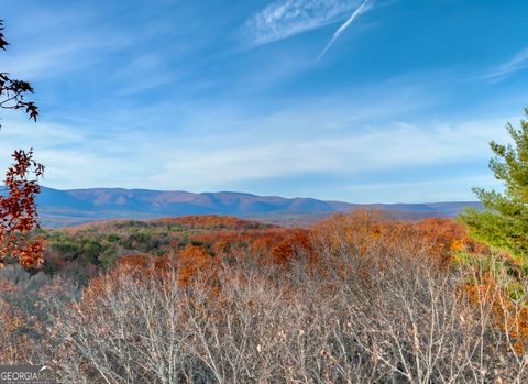 Photo of 0 Creek Camp Road, Ellijay, GA 30536 (MLS # 10657203)