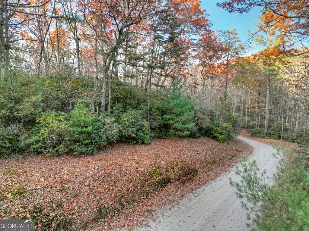 Photo of 0 Creek Camp Road, Ellijay, GA 30536 (MLS # 10657203)