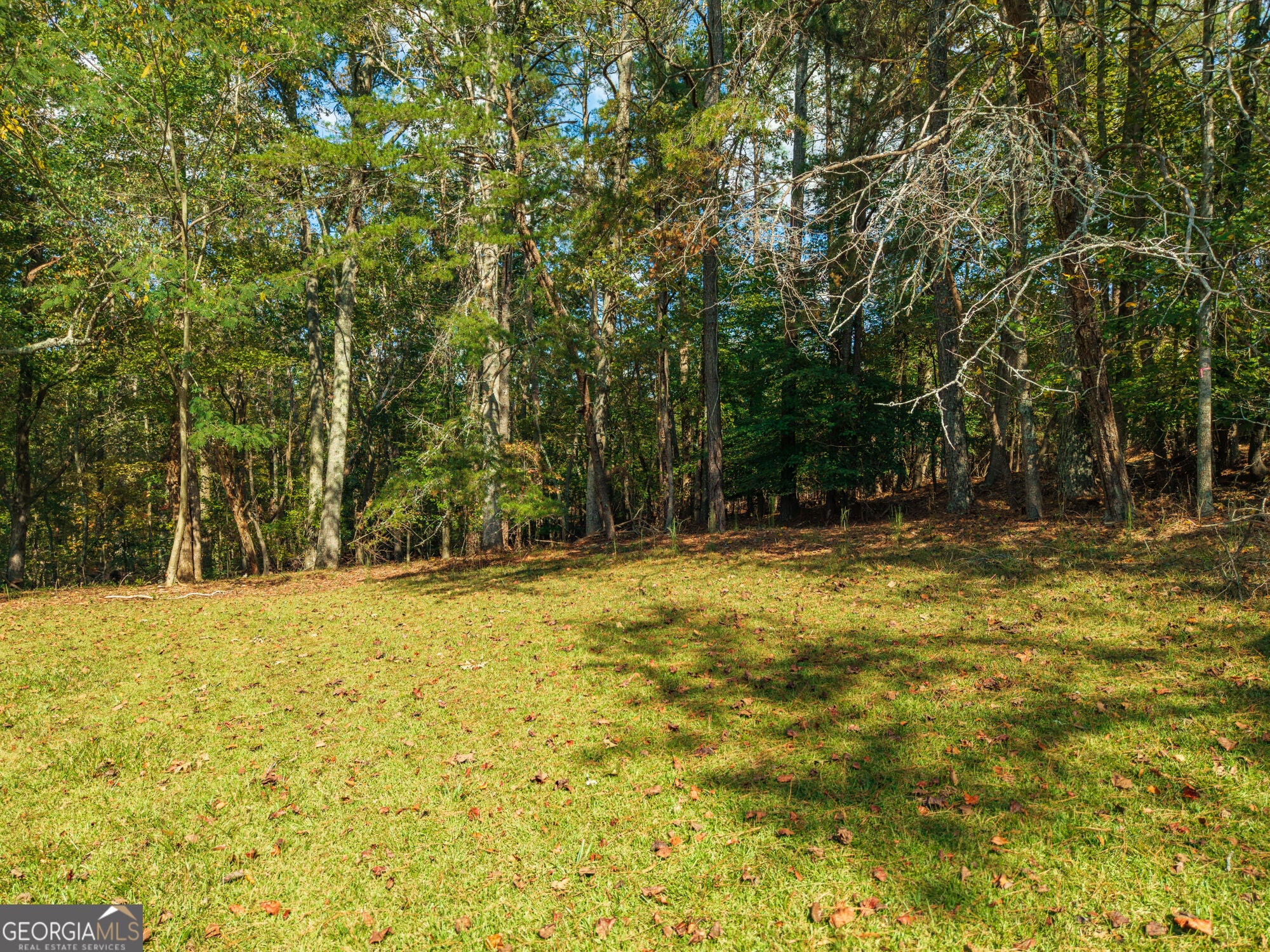 469 Flatbottom RD